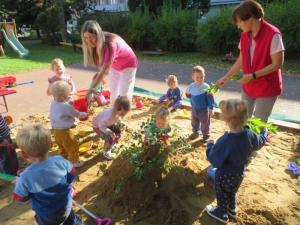 2025 Podzim na zahradě