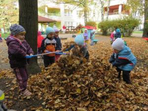 2025 Podzim na zahradě
